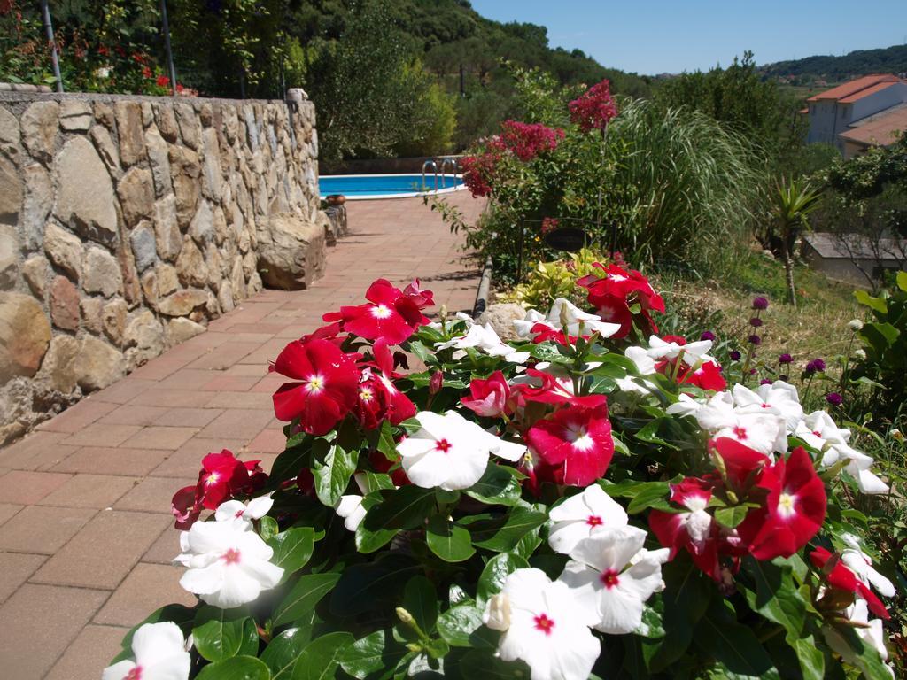 Apartments Dumicic Супетарска Драга Екстериор снимка